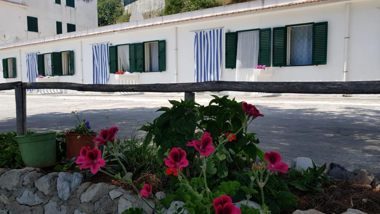 Casa De Sio Bilocale Διαμέρισμα Peschici Εξωτερικό φωτογραφία